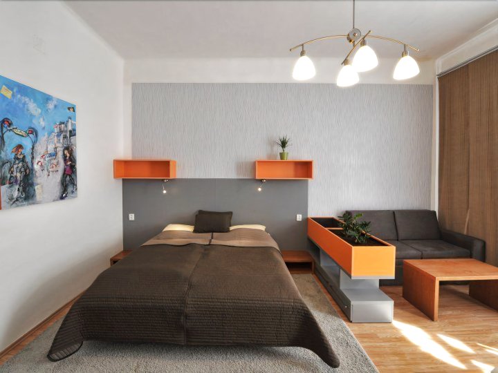 中央公寓酒店(Apartmánový Dům Centrum)