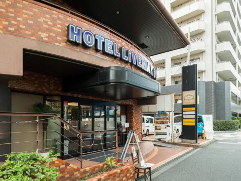 利夫马克思BUDGET府中酒店(Hotel Livemax Budget Fuchu)