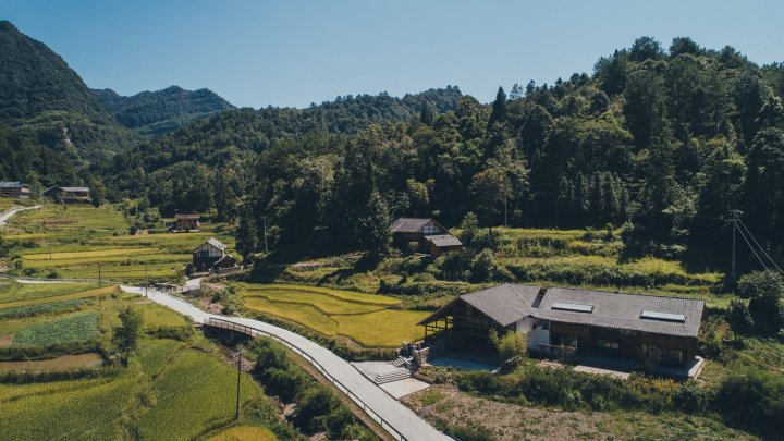 隐居乡里·梧桐山民宿