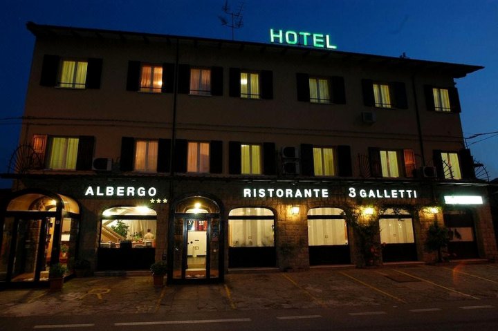 加勒蒂 3 号餐厅酒店(Hotel Ristorante Tre Galletti)