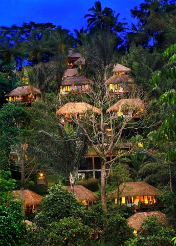 空中花园南迪尼丛林酒店(Nandini Jungle by Hanging Gardens)