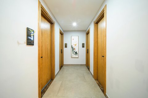 武夷山山锦茶宿