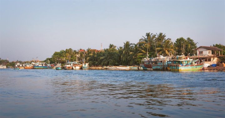 鸟巢度假村(Nest Holiday Resort)