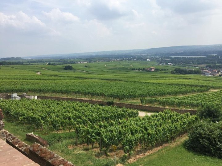 Gästehaus Wohnen im Weingut