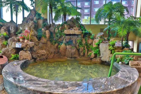 王朝圣地温泉酒店(长白山北景区集散中心店)