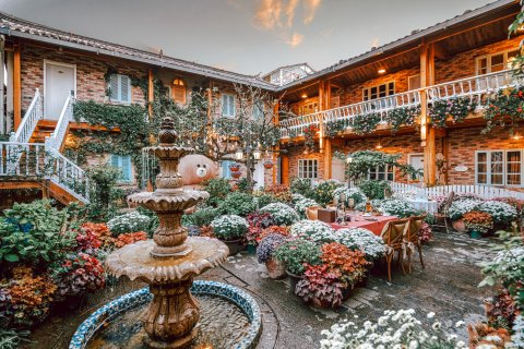 觀心·花半里|Monet Garden inn﻿莫奈花园美宿