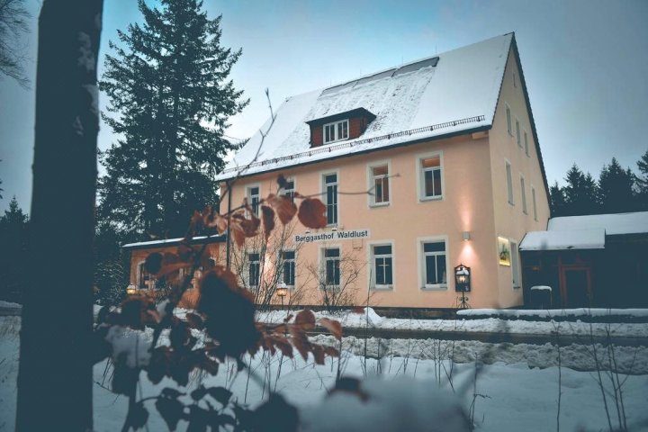 贝盖斯特霍夫瓦尔德拉斯特旅馆(Hotel Berggasthof Waldlust)