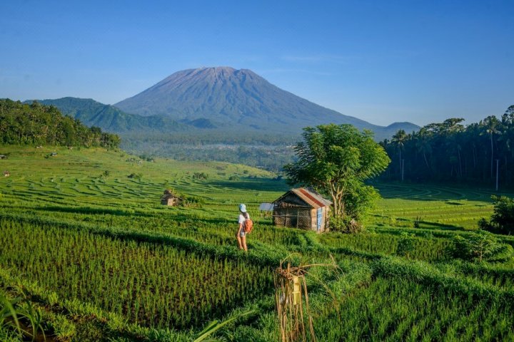 Pondok Wisata Patal Kikian