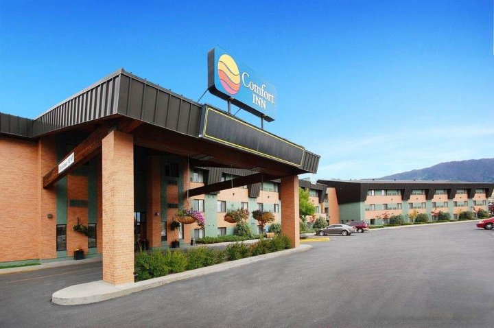 波由特市中心 I-15 - I-90 舒适酒店(Comfort Inn Butte City Center I-15 / I-90)