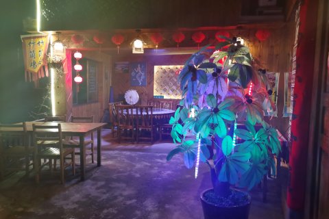 龙胜家乡楼客栈