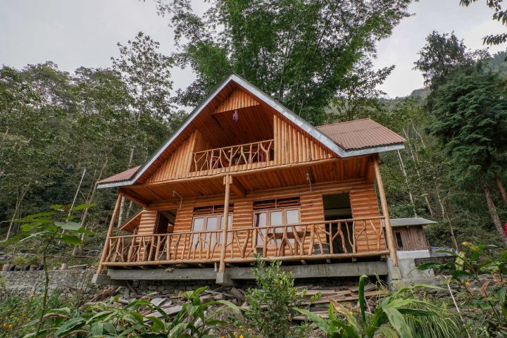 Golden Pine Homestay