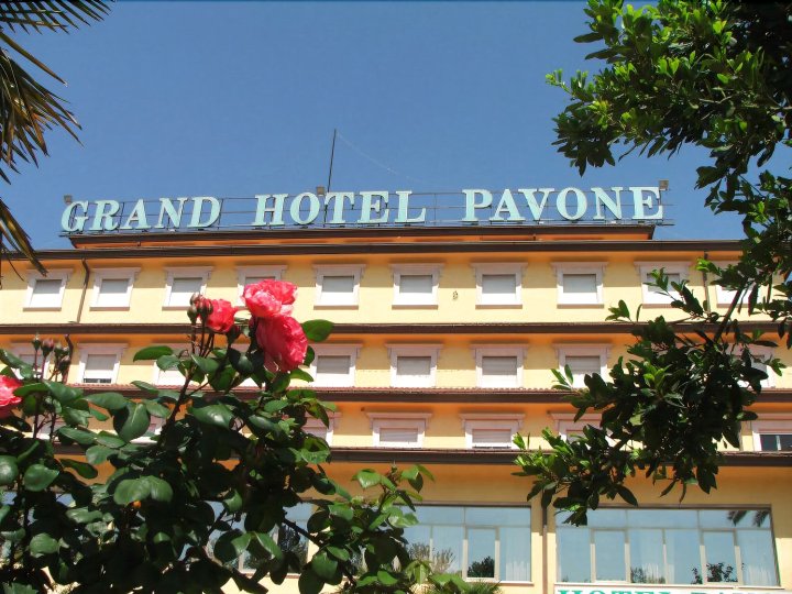 格兰德帕丰内酒店(Grand Hotel Pavone)