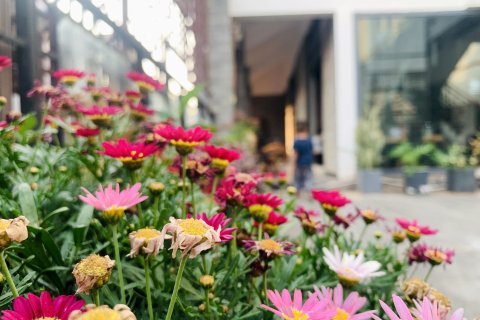 宜瑞春秋客栈(建水古城朱家花园店)