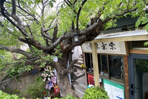 泰安紫气东来客栈(泰山红门店)