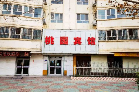 桃园宾馆(阿拉尔桃源商业步行街店)