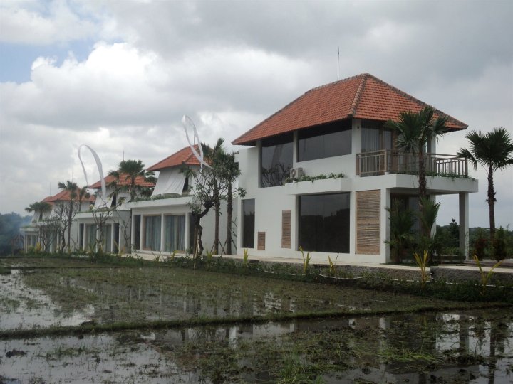 D Sawah Villas