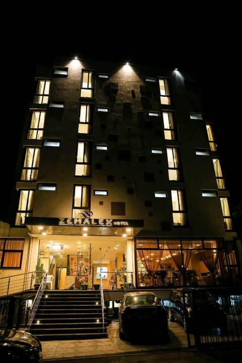 泽玛莱克斯酒店(Zemalex Hotel)