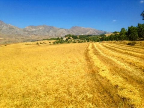 Antica Masseria