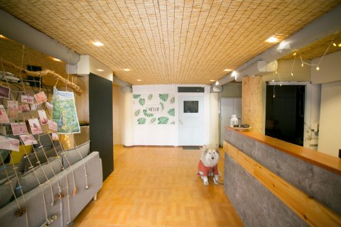 稻城繁星下精品客栈