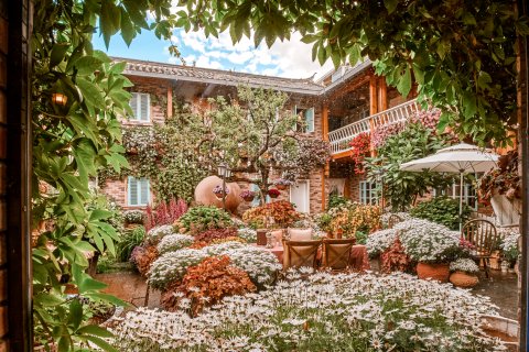 觀心·花半里|Monet Garden inn﻿莫奈花园美宿