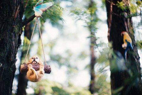 蔓时光后海听禅客栈(桂林两江四湖店)