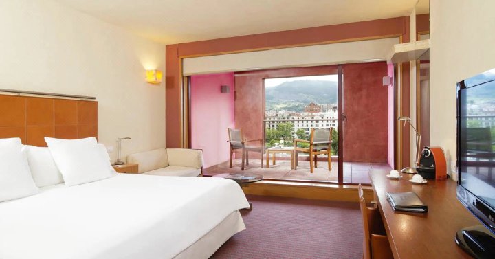 美利亚毕尔巴鄂酒店(Hotel Meliá Bilbao)