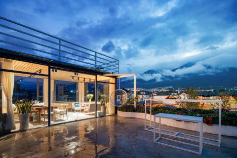 大理极浦水景别墅东门店