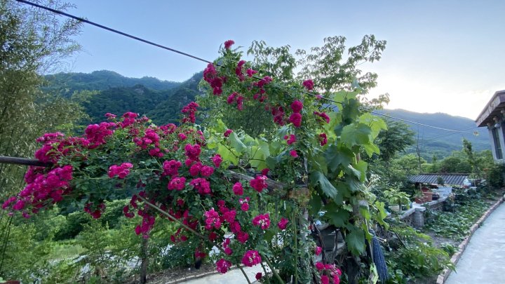 太白鸿祥缘农家乐