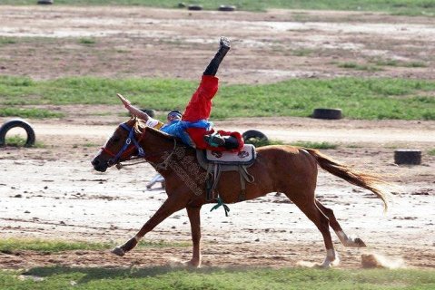 张北中都原始草原度假村