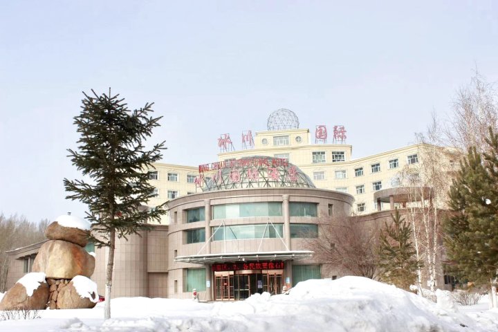 吉木乃冰川国际大酒店