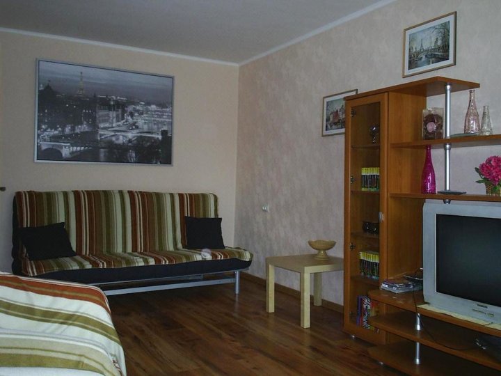 普罗万兹卡亚公寓(Apartment on Proviantskaya)