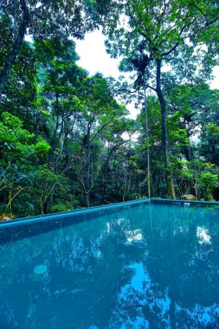阿尔苏拉娜生态小屋旅馆及阿育吠陀 SPA(Arsulana Eco Lodge & Spa)