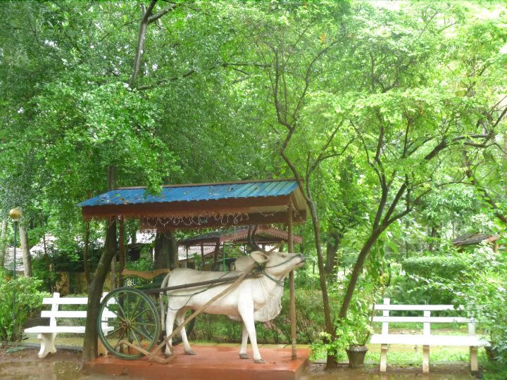 JC村酒店(J C Village)