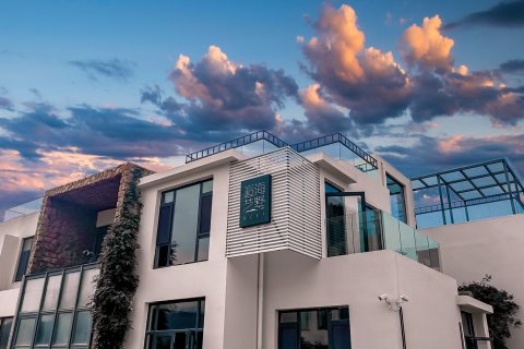 金石湾逅海艺墅