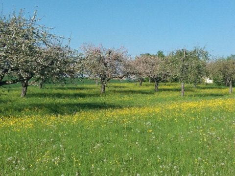 Ferienwohnung Taubertal Familie Arold