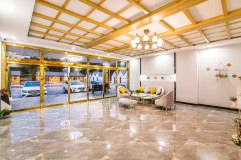 塞罕坝原野小驻