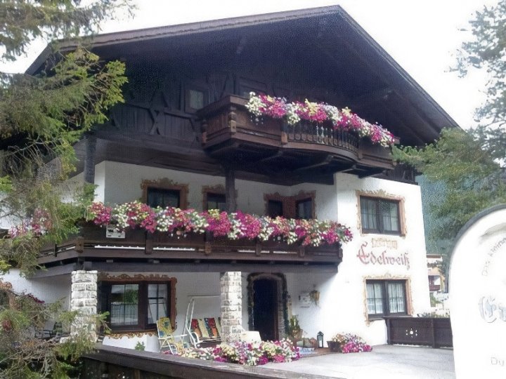 雪绒花住宿加早餐旅馆(Pension Edelweiss)