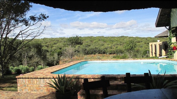 芦荟与大象小屋旅馆(Aloe and Elephant Lodge)