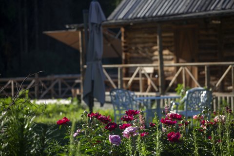 禾木时光里花园民宿