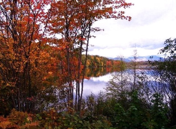 Berry Pond Motel