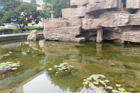 秦皇国际公寓(金梦海湾店)