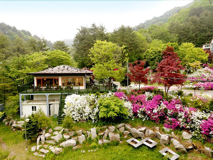 平昌绿丘度假村(Pyeongchang Greenhill Resort)