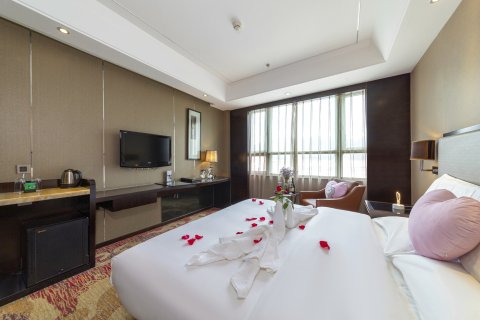 林芝岷山大酒店