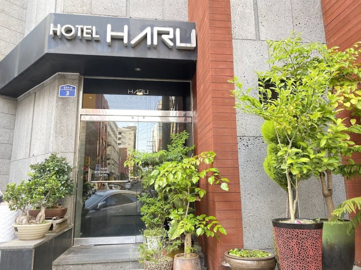 哈鲁酒店(Hotel Haru)