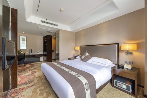 林芝岷山大酒店