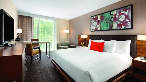 凯悦旅馆芝加哥橡树溪店(Hyatt Lodge Oak Brook Chicago)