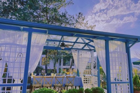 松阳叶子庄园民宿