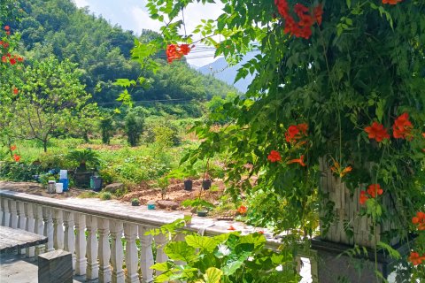 桐庐龙吟居民宿