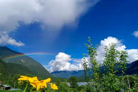 波密七彩行馆(古乡湖景区店)