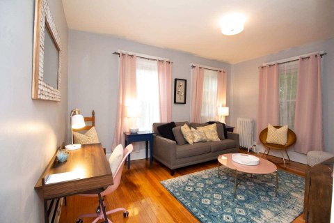 布鲁克林阳光全新1卧公寓(Sun-Filled Newly Renovated 1Bed in Brookline)